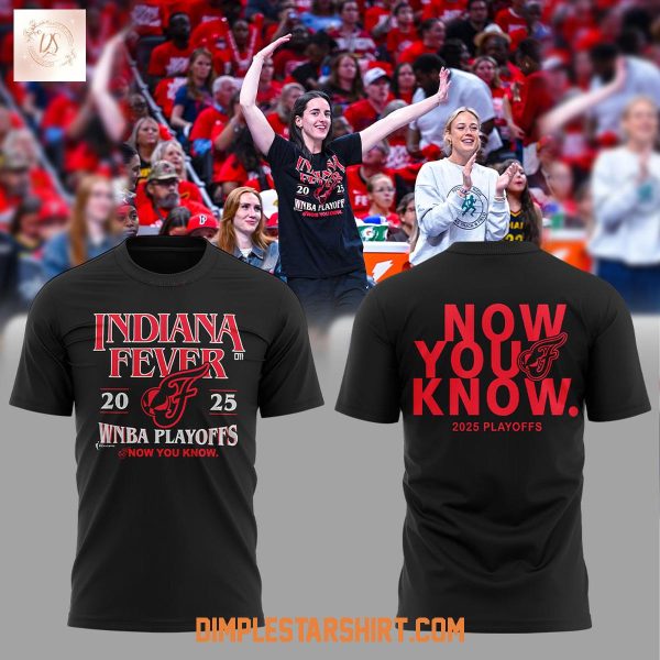 Indiana Fever 2025 WNBA Playoffs Now You Know Hoodie Shirt