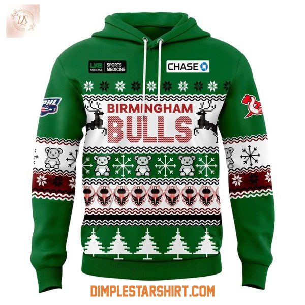 Birmingham Bulls Ugly Sweater Night 2025 Hoodie Shirt
