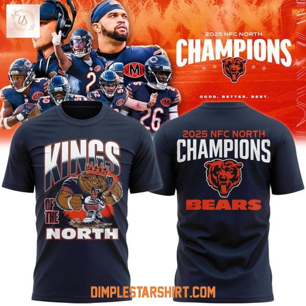 Chicago Bears Kings Of The North Champions Hoodie T Shirt